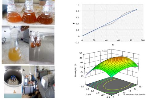Bioethanol Production from Sequential Acidic-Alkaline Pretreated ...