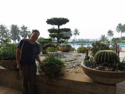 BOAO GOLDEN COAST HOT SPRING HOTEL (Qionghai, Hainan, China) - Hotel ...