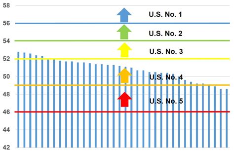 Corn test weights in northwest Minnesota lower than desired