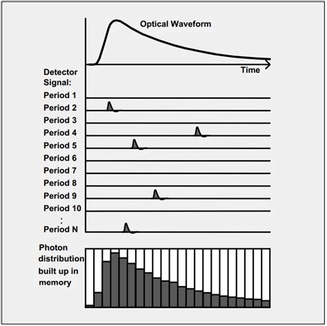 TCSPC Spectroscopy 的图像结果