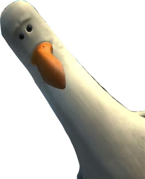 Mine Mine Seagull vector by MrToonlover83 on DeviantArt