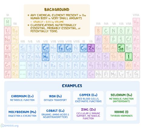 Chemical Elements In The Body