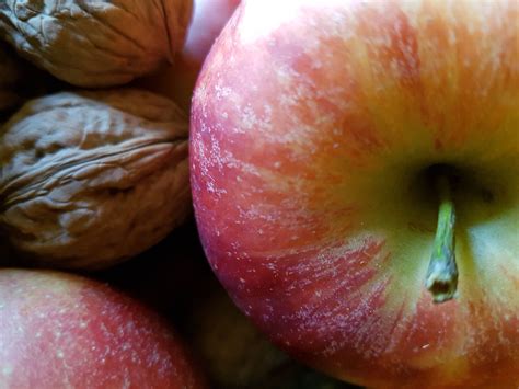 Image result for Volles Programm