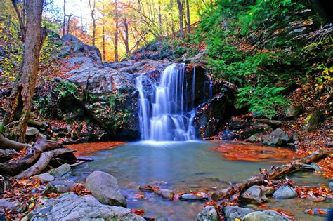 Escape To Nature's Embrace: Maryland's Patapsco Valley State Park