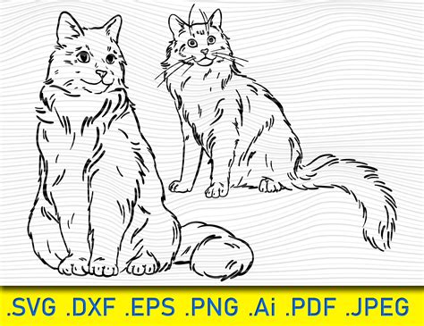 Image result for Cat Learning SVG