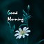 Image result for Good Morning Flowers and Critters