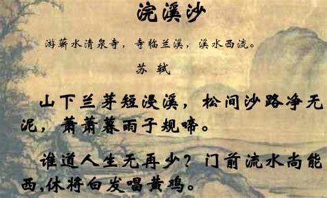 苏轼最有名的十首诗