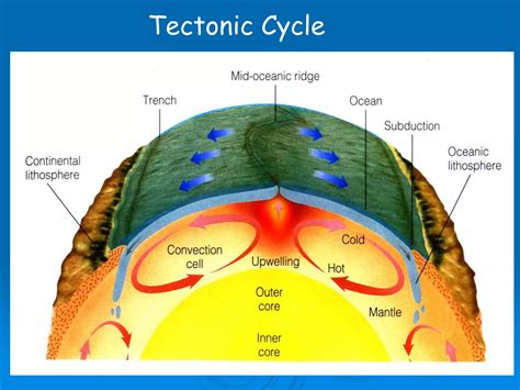 Earth System Dynamics 的图像结果