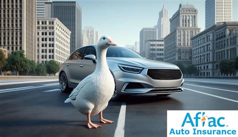 Image result for Aflac Auto Insurance