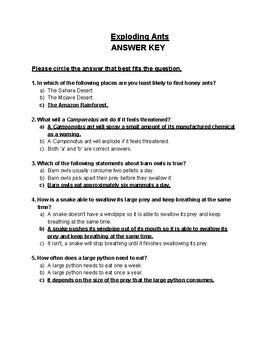 Image result for Exploding Ant Video in Reading Street Book