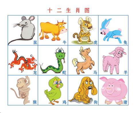 可爱十二生肖小动物时尚插画EPS素材免费下载_红动中国