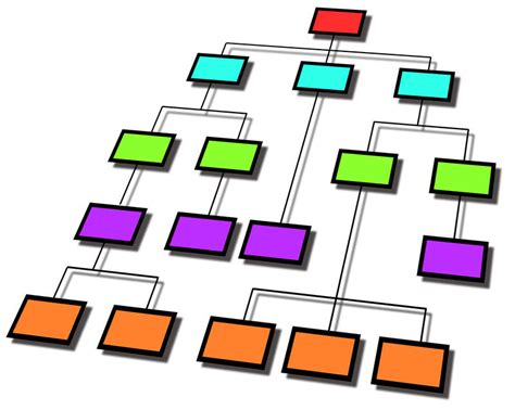 Image result for Cell Organization