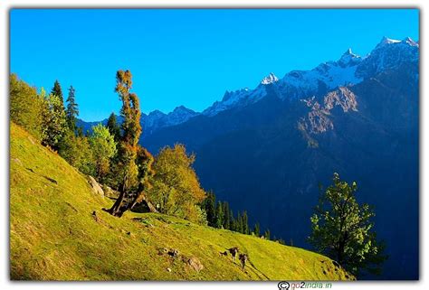 go2india.in : equivalent to a calendar kind of picture at Zirmi