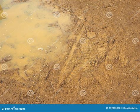 Puddle 的图像结果