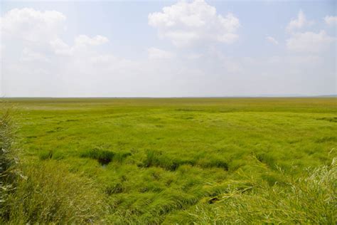 Photos Chine : paysage du pâturage de Jinlianchuan — Chine Informations