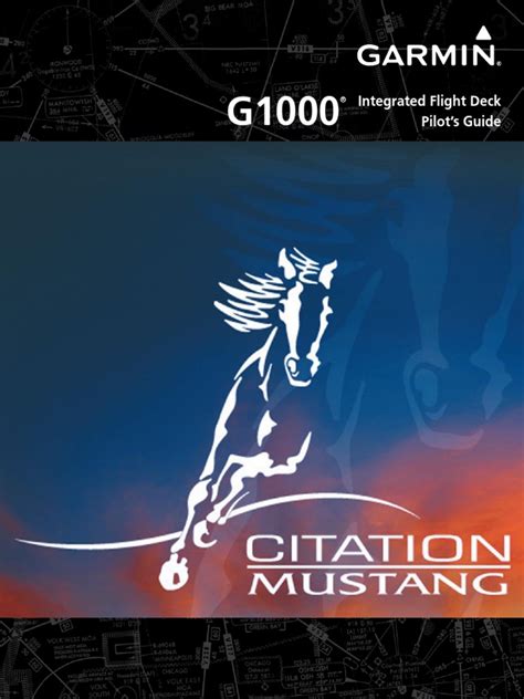 G1000 Tutorial 的图像结果