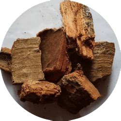 Nalpamaradi Thailam Face And Body Golden Radiance Oil – Vanaura Organics