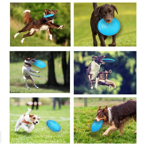 Blue Rubber Flyer Flying Disc for Dogs – Indihopshop