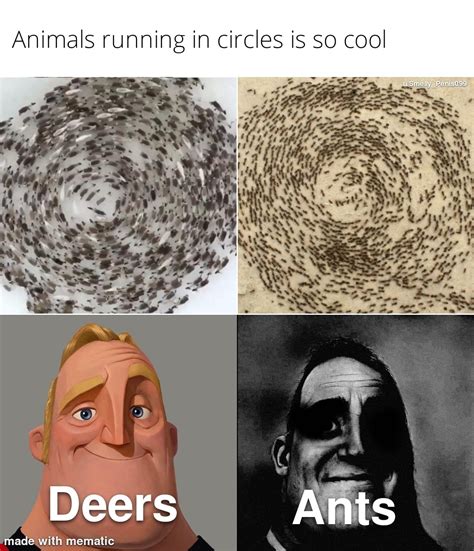 If you know you know : r/memes