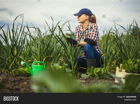 Woman Agronomist Image & Photo (Free Trial) | Bigstock