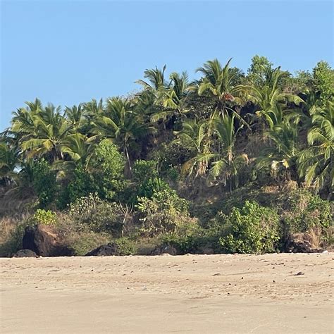 SAMINDAR BEACH HOUSE (Ambolgad) - Hotel Reviews, Photos, Rate ...