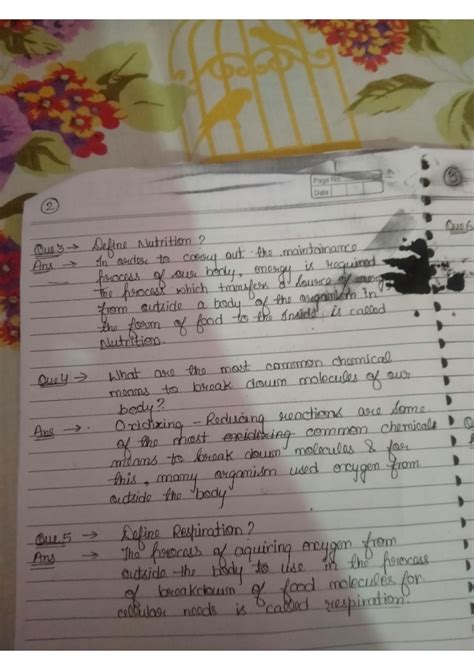 Image result for Notes Class 10 Science Flowchart