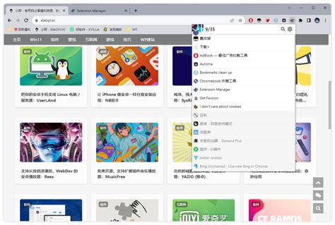+User ScriptManager Extension 的图像结果