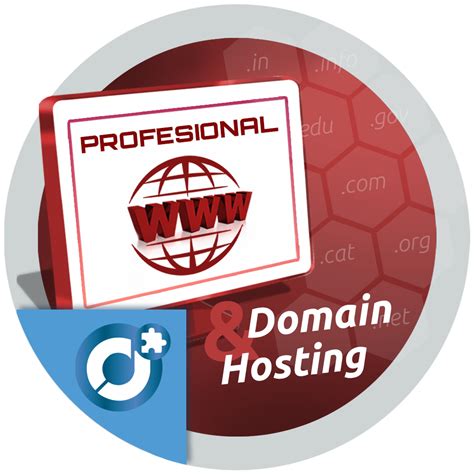 Image result for Web Domain Hosting