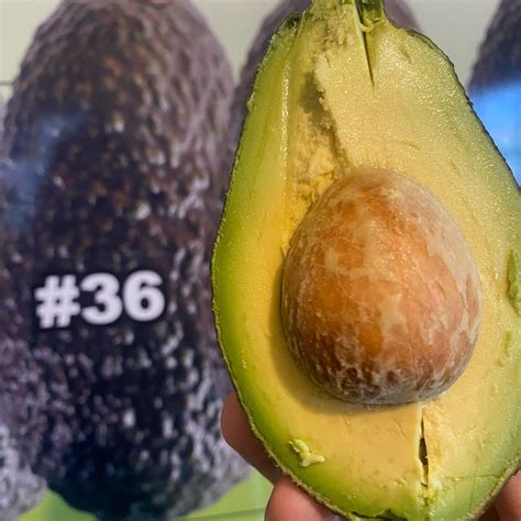 DMC PRODUCE LLC (@dmcavocados) • Instagram photos and videos