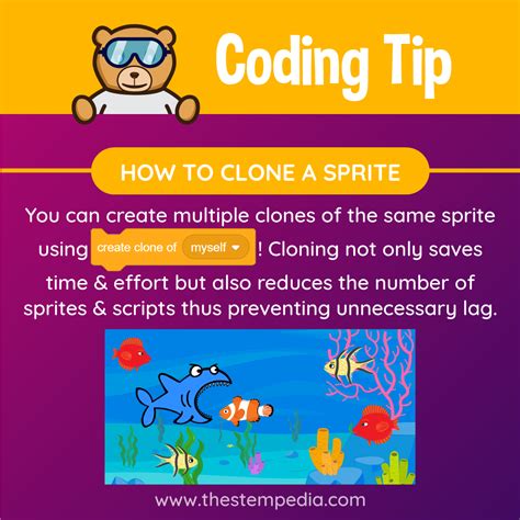 Image result for Coding Tips