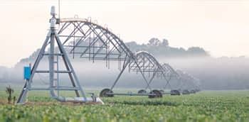 J.R.simplot Potatoes 的图像结果