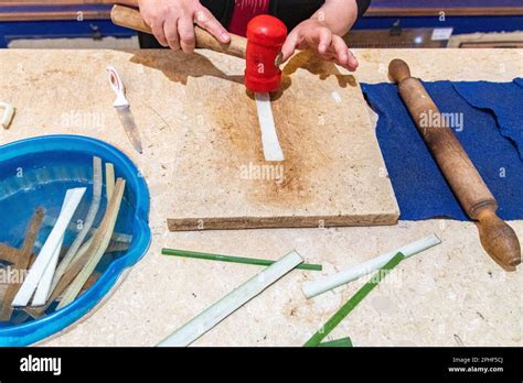 Image result for How Was Papyrus Made