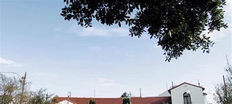 Image result for Fly Away Bride