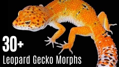 Image result for Spatial Location Example