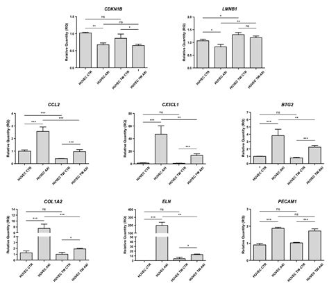 Glioblastoma Cells Do Not Affect Axitinib-Dependent Senescence of ...