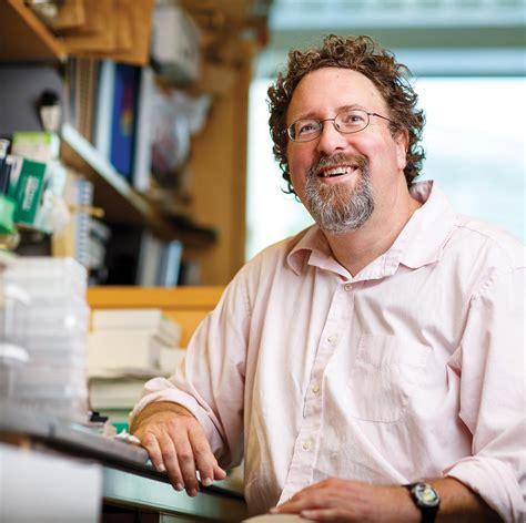 Cellular Machine 的图像结果