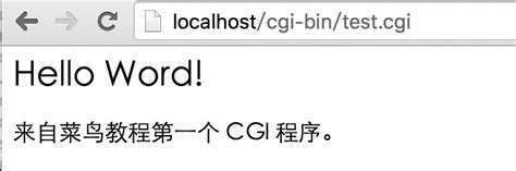 CGI Script in PHP 的图像结果