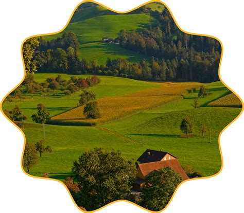 Hebbevu Farm Visit | Experience Organic Living & Nature - Hebbevu Fresh