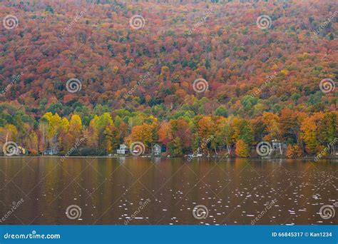 Beautiful Autumn Foliage and Cabins in Elmore State Park, Vermont Stock ...
