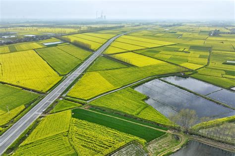 江西万载：高标准农田建设忙-人民图片网