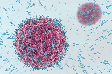 What we know about COVID-19 immunity - The DO