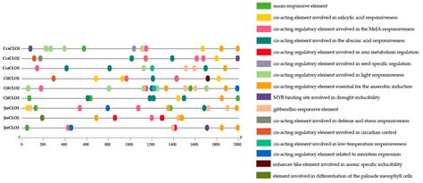 Identification and Analysis of Expression Patterns of the Caleosin ...