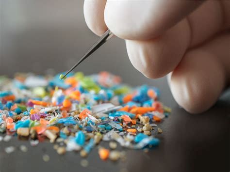 ಎಚ್ಚರ! ಮಾನವನ ರಕ್ತ, ಶ್ವಾಸಕೋಶ ಮತ್ತು ಮೆದುಳಿನಲ್ಲಿ ಮೈಕ್ರೋಪ್ಲಾಸ್ಟಿಕ್ ಪತ್ತೆ ...