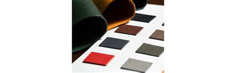 Rainbow Dye Tec : Unveiling A Colorful Tomorrow