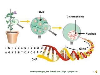 Image result for Genetic Engineering Lecture