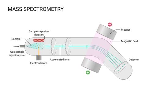 Image result for Mass Spectrometry Basics