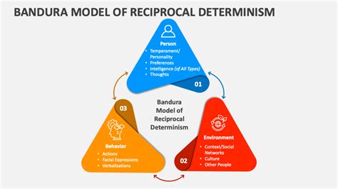 Image result for Reciprocal Determinism Examples
