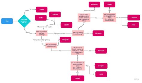 Image result for A Flowchart That Show the Process of Conception