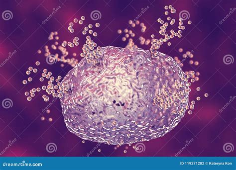 Mast Cell Degranulation Cartoon Vector | CartoonDealer.com #13078689