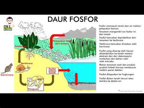 Image result for Spring Box Structure